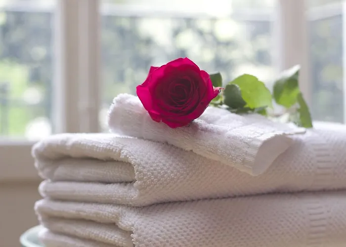 Poli Grappa Venetië